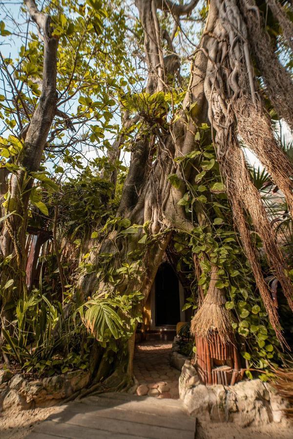 Hotel Colibri Beach Playa del Carmen Exterior foto