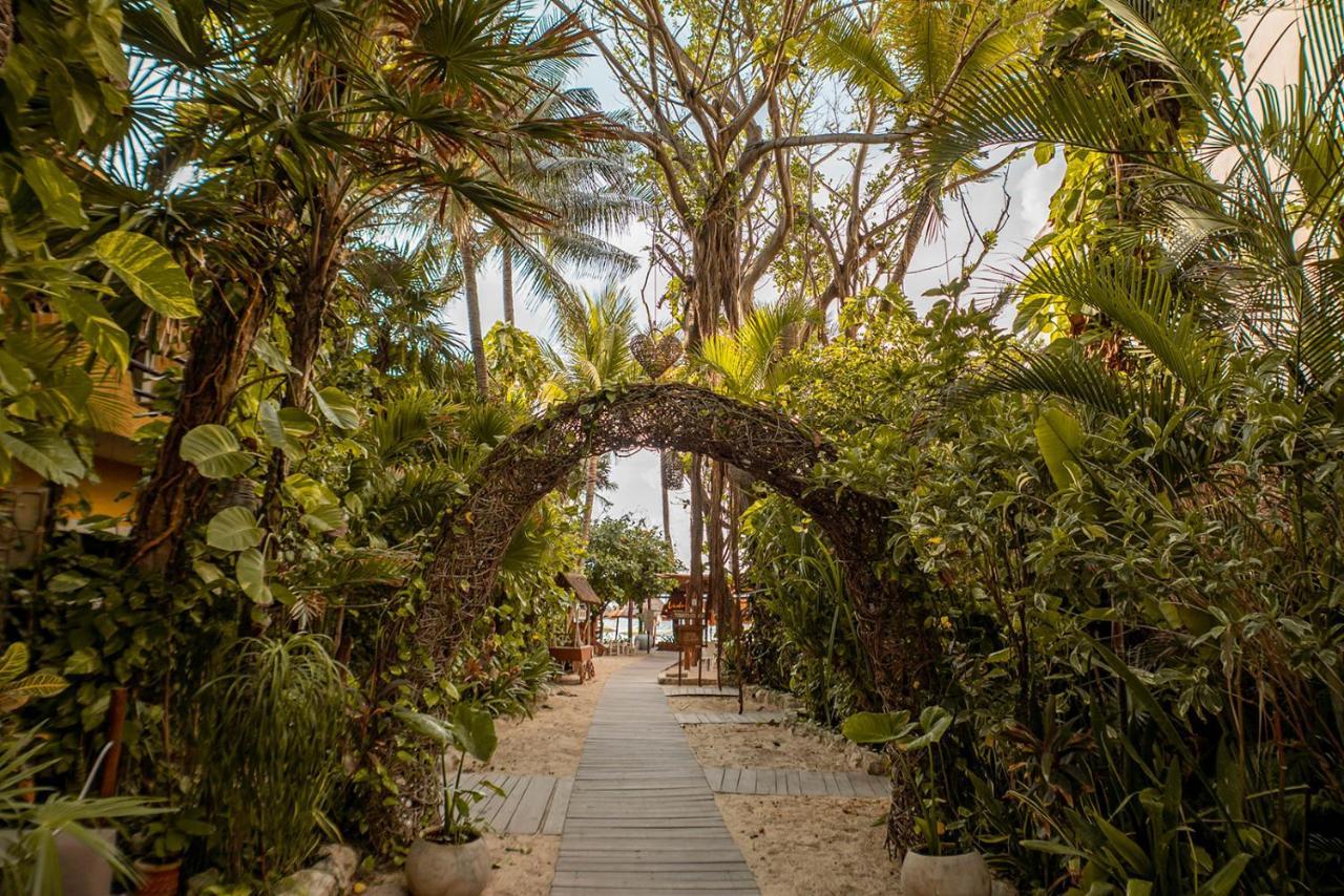Hotel Casa Colibri Playa del Carmen Exterior foto